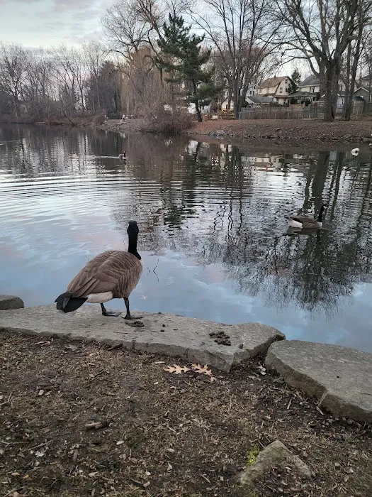 Bergenfield Boro Picture 9