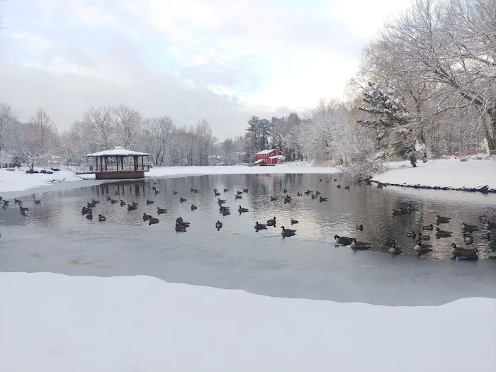 Bergenfield Boro Picture 8