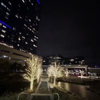 Central Green ico