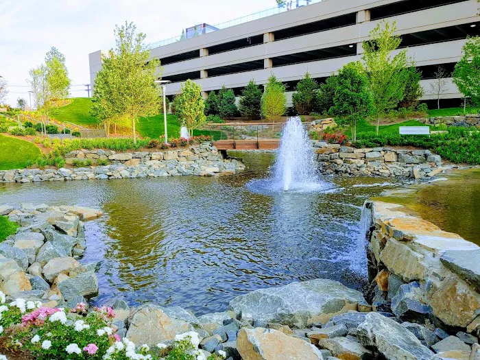Central Green Picture 10