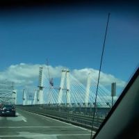 Pennybridge Field ico
