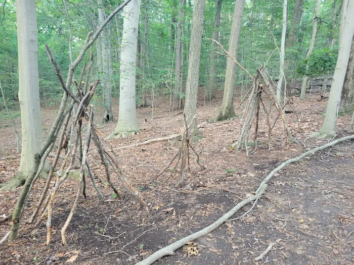 Trailhead for the Rockleigh Woods/Lamont Reserve trails Picture 3