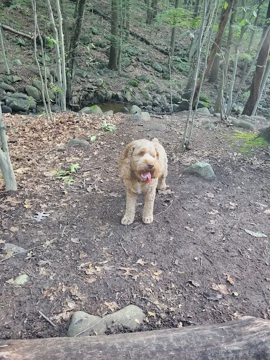 Trailhead for the Rockleigh Woods/Lamont Reserve trails Picture 9