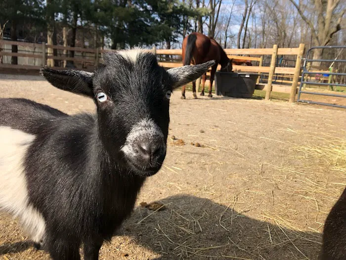 Cohen’s Barn Picture 8