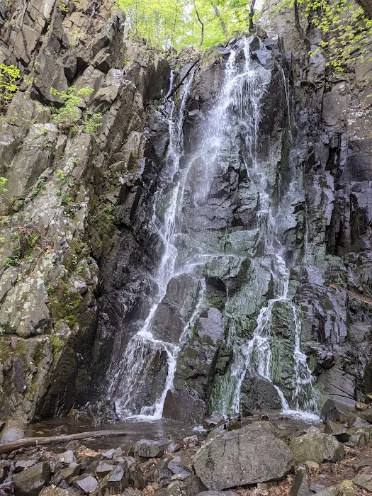 Peanut Leap Cascade Picture 1