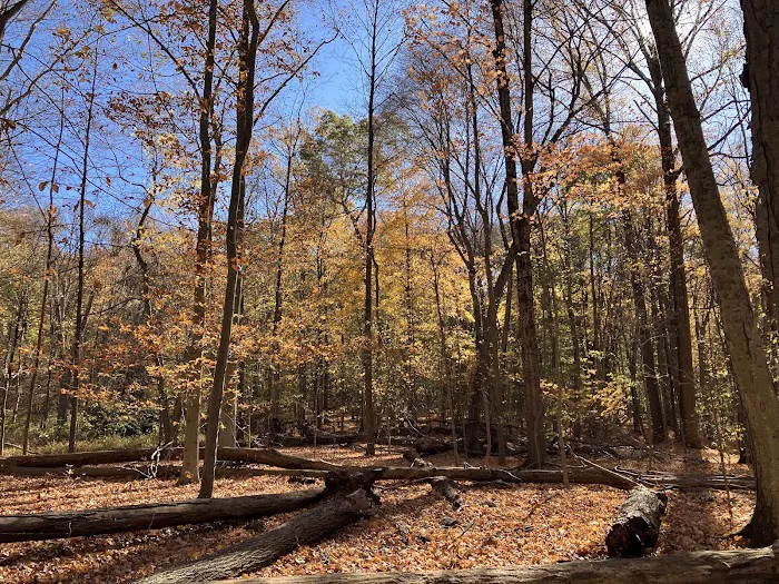 376 Saw Mill River Rd Picture 1