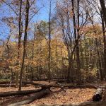 376 Saw Mill River Rd