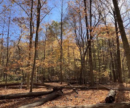 376 Saw Mill River Rd