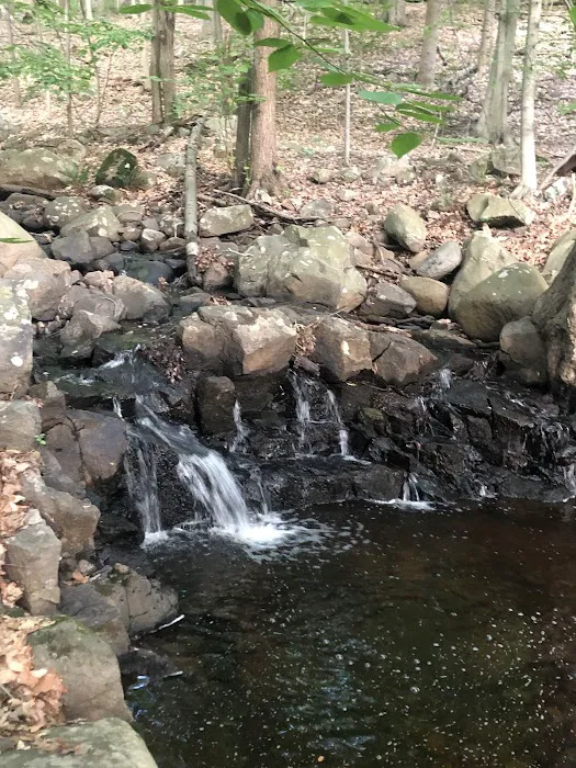 376 Saw Mill River Rd Picture 3