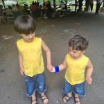 Pocantico Park
