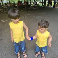 Pocantico Park ico