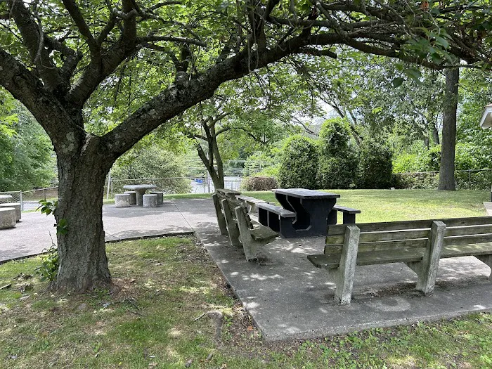 Pocantico Park Picture 4