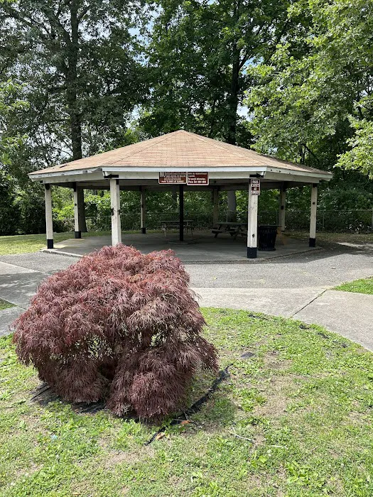Pocantico Park Picture 5