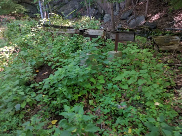 Glenville Woods Park Preserve Picture 6