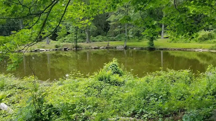 Glenville Woods Park Preserve Picture 4