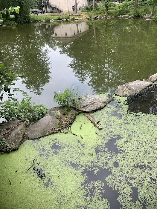 Glenville Woods Park Preserve Picture 10