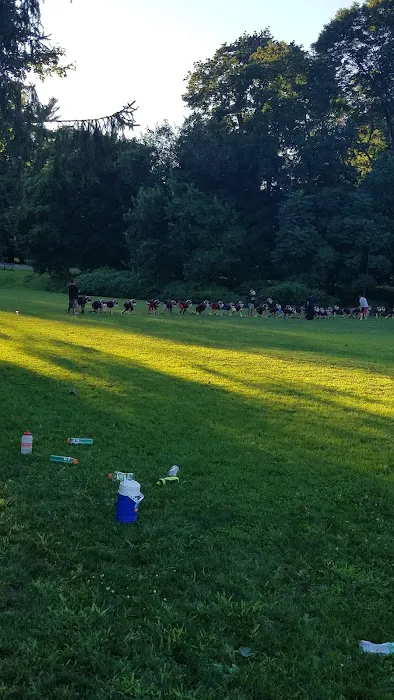 Clove Road Park Picture 2