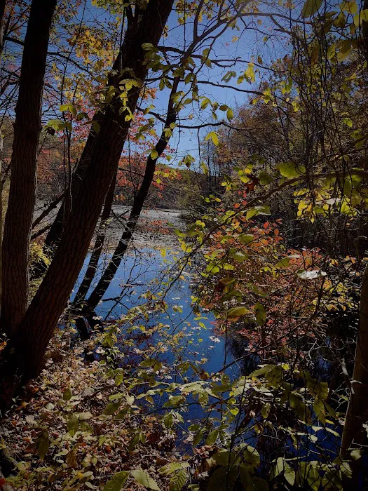 Cranberry Lake Preserve Parking Picture 2