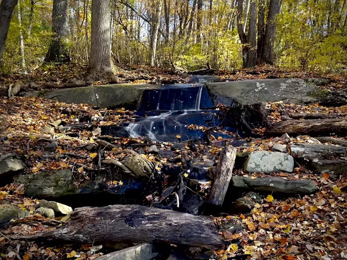 Cranberry Lake Preserve Parking Picture 4