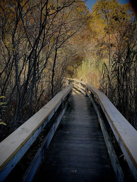 Cranberry Lake Preserve Parking Picture 6