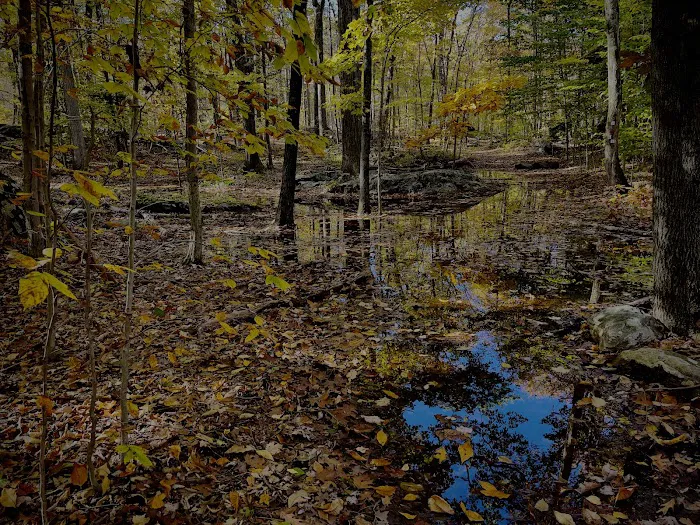 Cranberry Lake Preserve Parking Picture 7