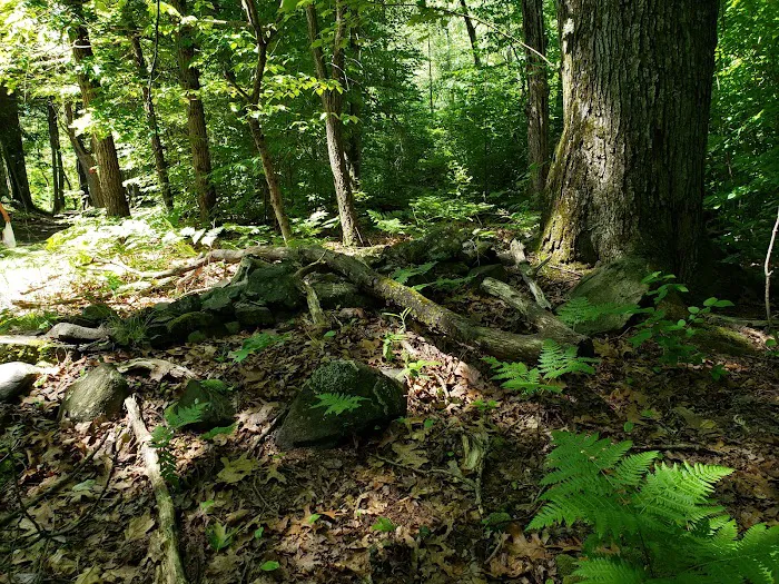 Cranberry Lake Preserve Parking Picture 10