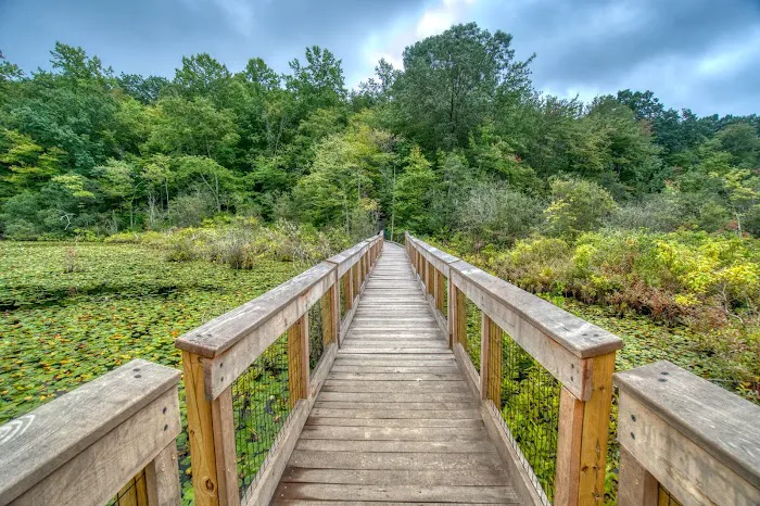 Cranberry Lake Preserve Picture 1