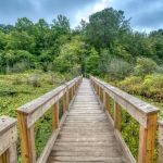 Cranberry Lake Preserve