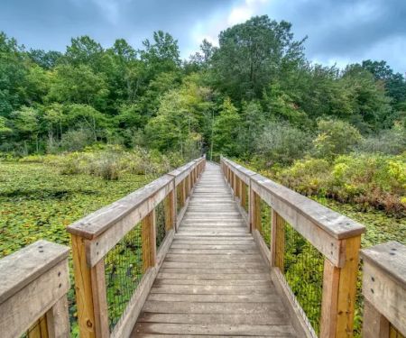 Cranberry Lake Preserve
