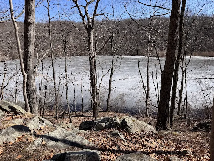 Cranberry Lake Preserve Picture 3