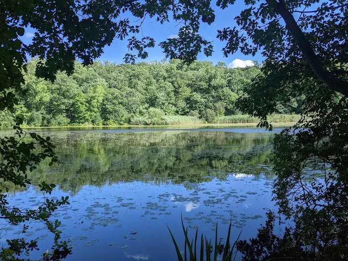 Cranberry Lake Preserve Picture 8