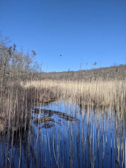 Cranberry Lake Preserve Picture 7