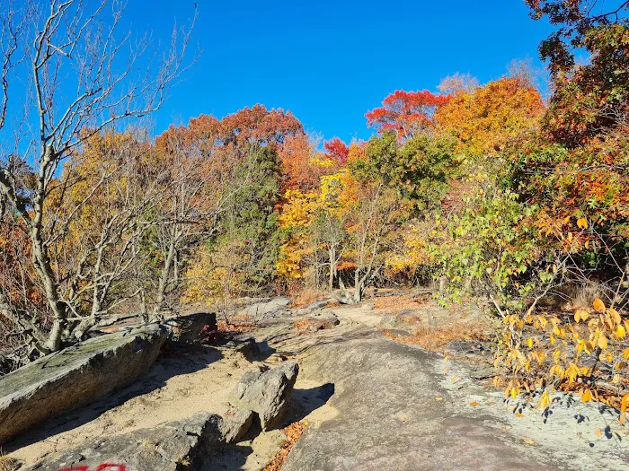 Cranberry Lake Preserve Picture 4