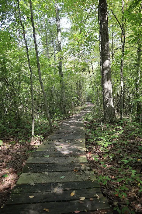 Cranberry Lake Preserve Picture 5