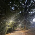Park