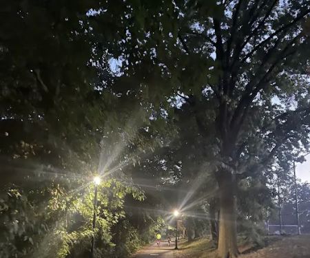 Park