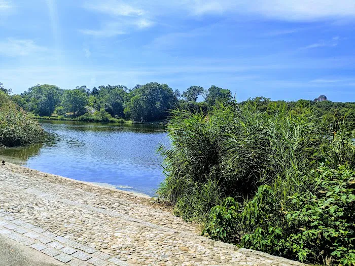 Harlem Meer Picture 2