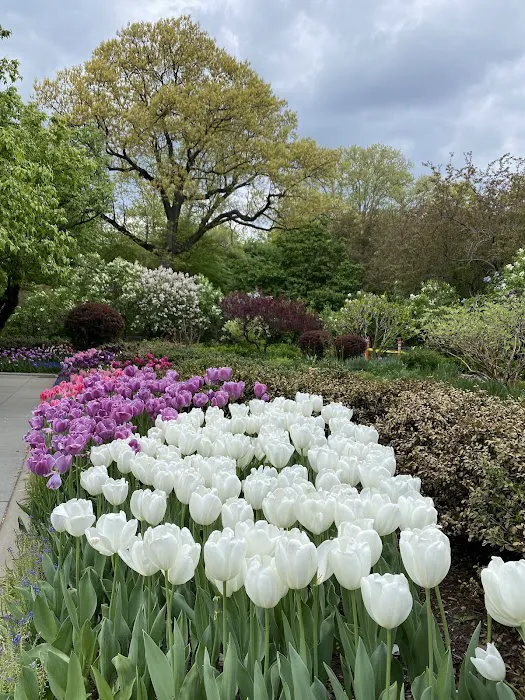 Conservatory Garden Center Fountain Picture 4