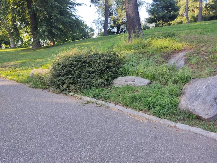 NYPD Detective Steven McDonald footpath Picture 10