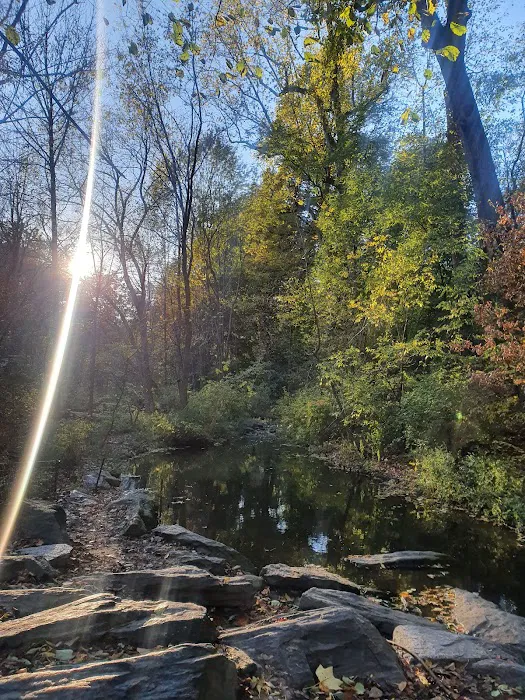 The Ravine (Waterfall) Picture 2