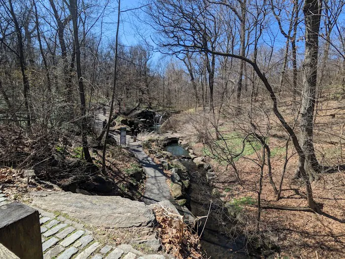 The Ravine (Waterfall) Picture 3