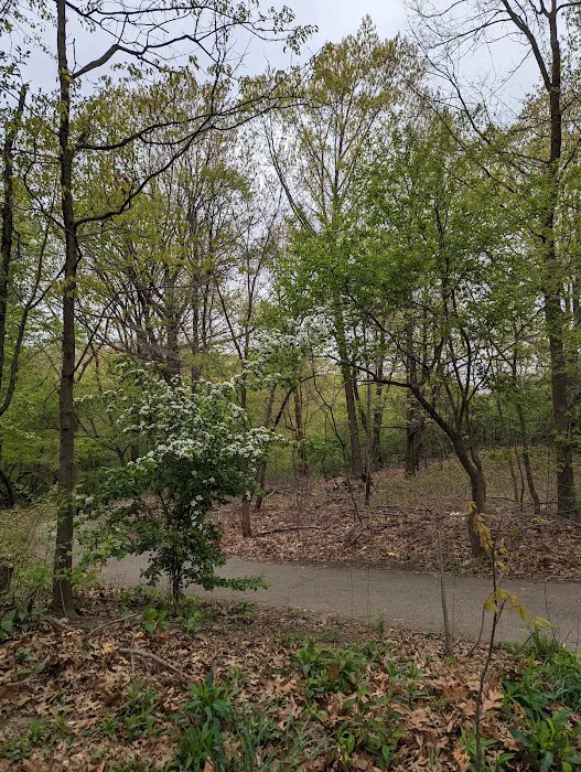 The Ravine (Waterfall) Picture 9