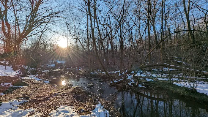 North Woods Picture 4