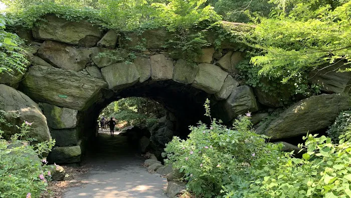 North Woods Picture 7