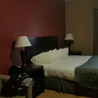 Verve Hotel, an Ascend Hotel Collection Member ico