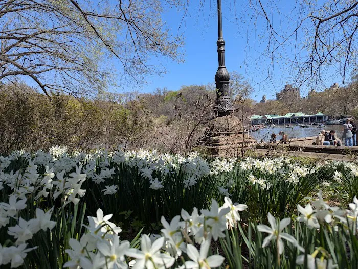 Central Park Boat House Picture 8