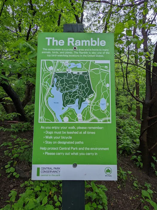 The Ramble Picture 1