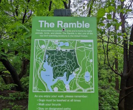 The Ramble