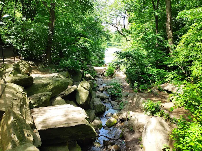 The Ramble Picture 5