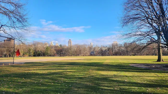The Great Lawn Picture 7